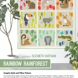 Rainbow Rainforest